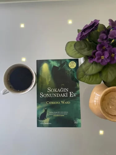 Sokağın Sonundaki Ev Kitabi